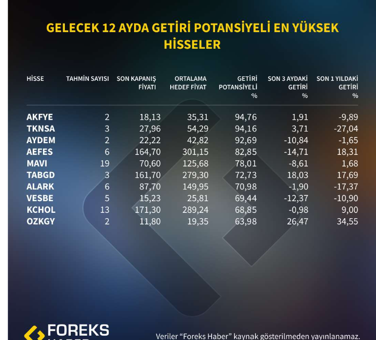 foreks haber borsa istanbulda gelecek 12 ayda en yuksek getiri potansiyeli sunan hisseler belli OKzeDgBD