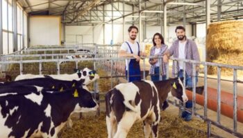 cig sut uretimi inek sutu yukseldi keci ve koyun sutu geriledi Lzli28yK