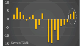 tcmb fx rezervleri artiyor ama ne kadar artiyor ZY975vvc