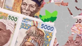bati afrikanin eurosu yolda eko sahneye cikiyor GSpV6vlg
