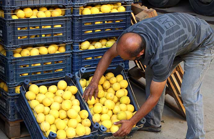 karpuzun tadi kacti limon ucusta marketle tarladaki fiyat ucurumu 6 kati asti 0 7tTuwy85