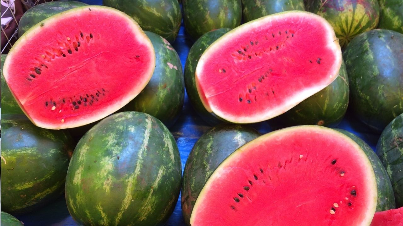 karpuzun tadi kacti limon ucusta marketle tarladaki fiyat ucurumu 6 kati asti 1 ZyIk1pzJ