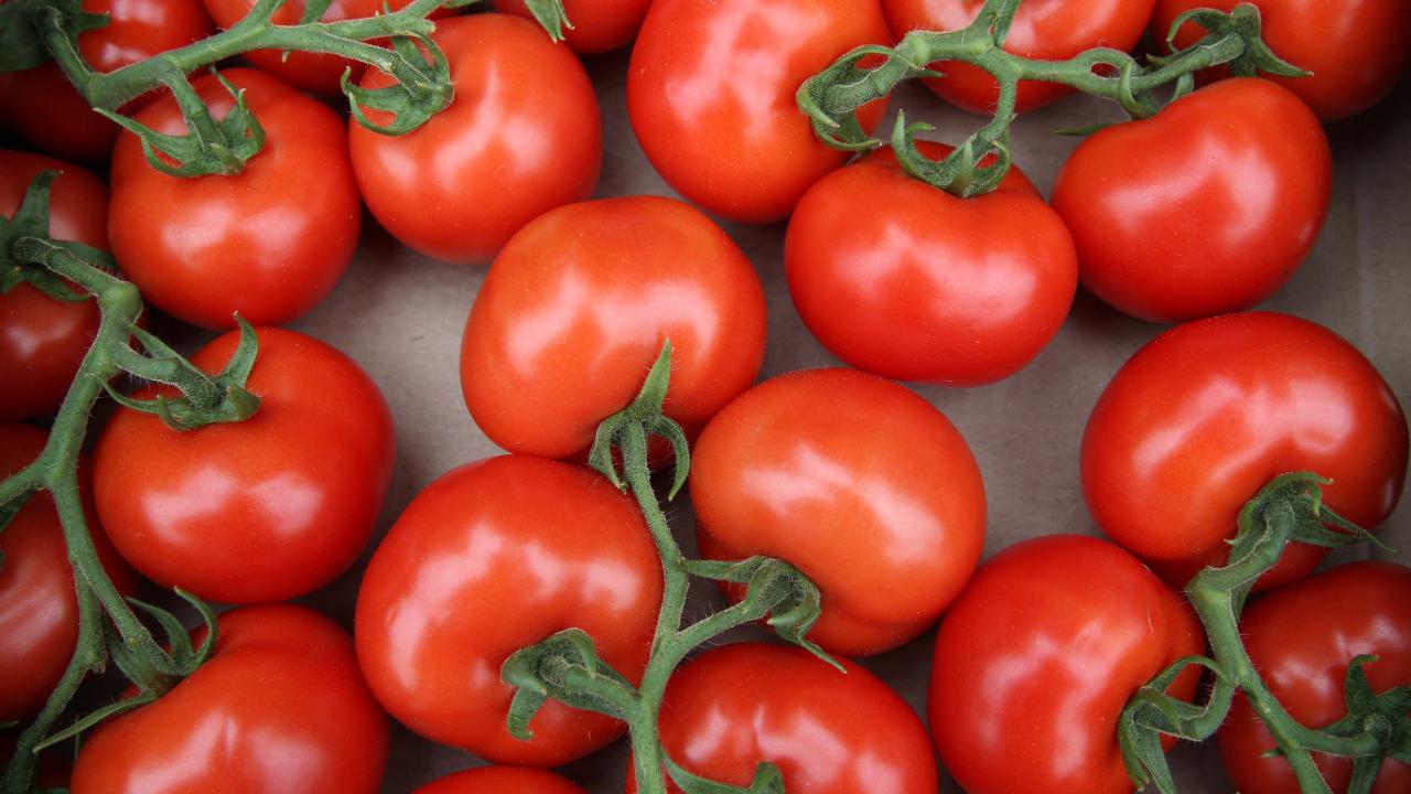karpuzun tadi kacti limon ucusta marketle tarladaki fiyat ucurumu 6 kati asti 2 KitMezlD