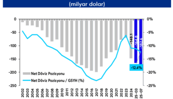 analiz sirketlerin doviz pozisyonunda gerileme mwzlWkkb