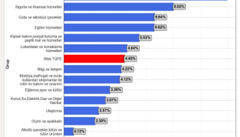 analiz webtufe ocak ayinda zirve yapti gida ve hizmet kalemlerinde sert yukselis qRltDntj
