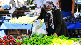 cetin unsalan tuik ile bile tek hane zor zP2ASwRP