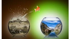 İran Fay Hattı: 2026’da Türkiye’yi Bekleyen Riskler ve Fırsatlar 3 iran fay hatti 2026da turkiyeyi bekleyen riskler ve firsatlar vGqBFHXN