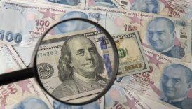 reel efektif doviz kuru endeksi aralikta dusus gosterdi 7C3PIfpu