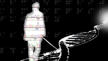 yapi kredi yatirim strateji notu yasam korkusu xJtkwLGN